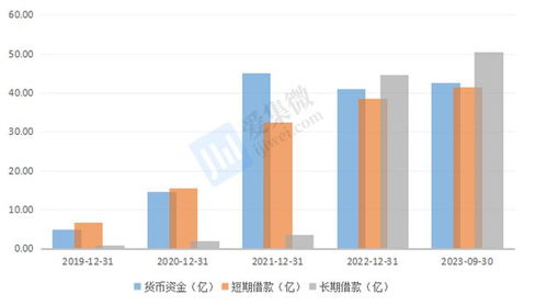 格科微布局中高像素CIS與自建Fab廠 短期財務(wù)承壓，長期戰(zhàn)略可期